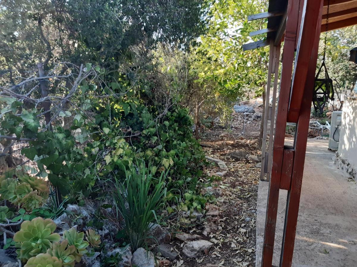 בקתת עץ בחורש במנות - דום גיאודזי - Wooden Cabin In Manot Eksteriør bilde