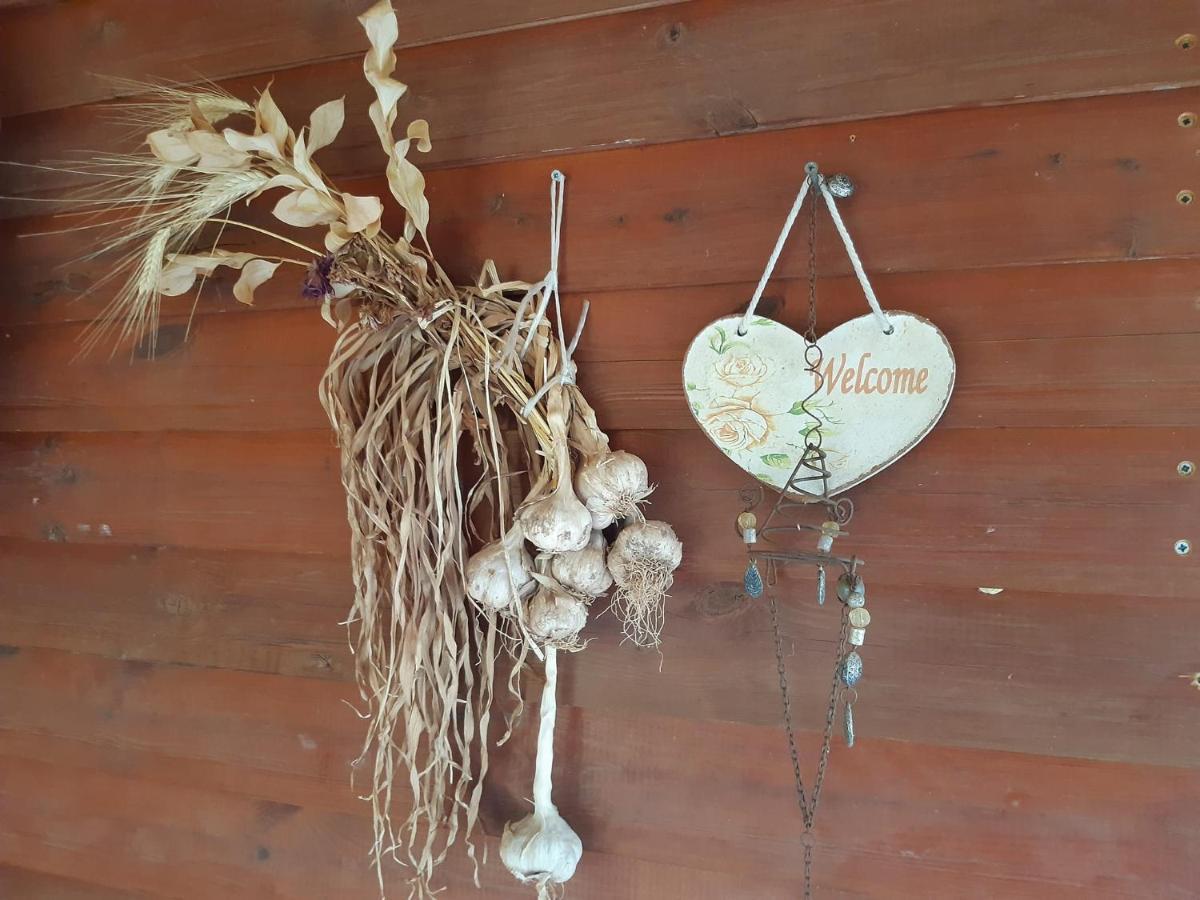 בקתת עץ בחורש במנות - דום גיאודזי - Wooden Cabin In Manot Eksteriør bilde