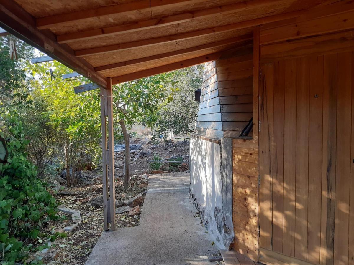 בקתת עץ בחורש במנות - דום גיאודזי - Wooden Cabin In Manot Eksteriør bilde