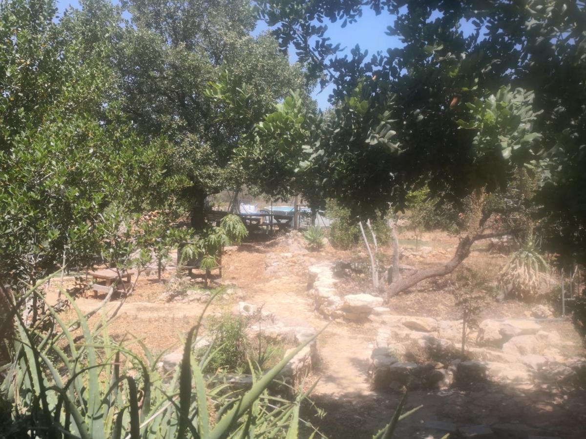 בקתת עץ בחורש במנות - דום גיאודזי - Wooden Cabin In Manot Eksteriør bilde