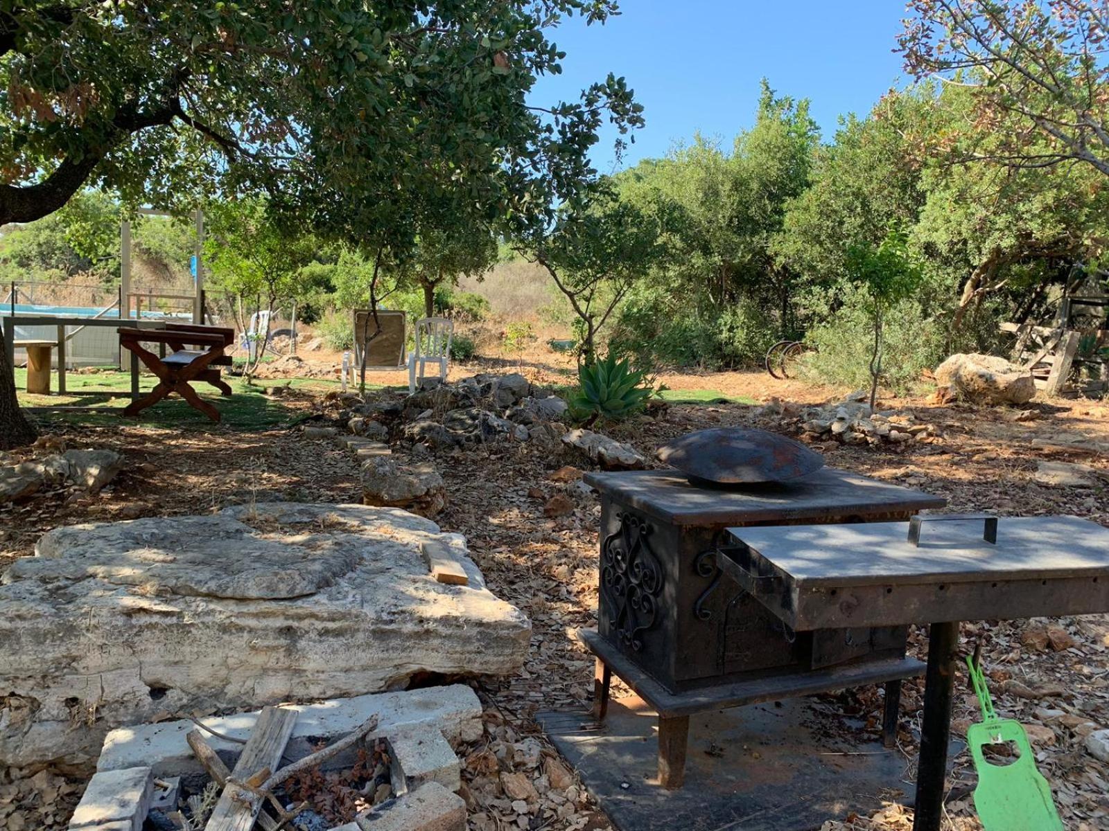 בקתת עץ בחורש במנות - דום גיאודזי - Wooden Cabin In Manot Eksteriør bilde