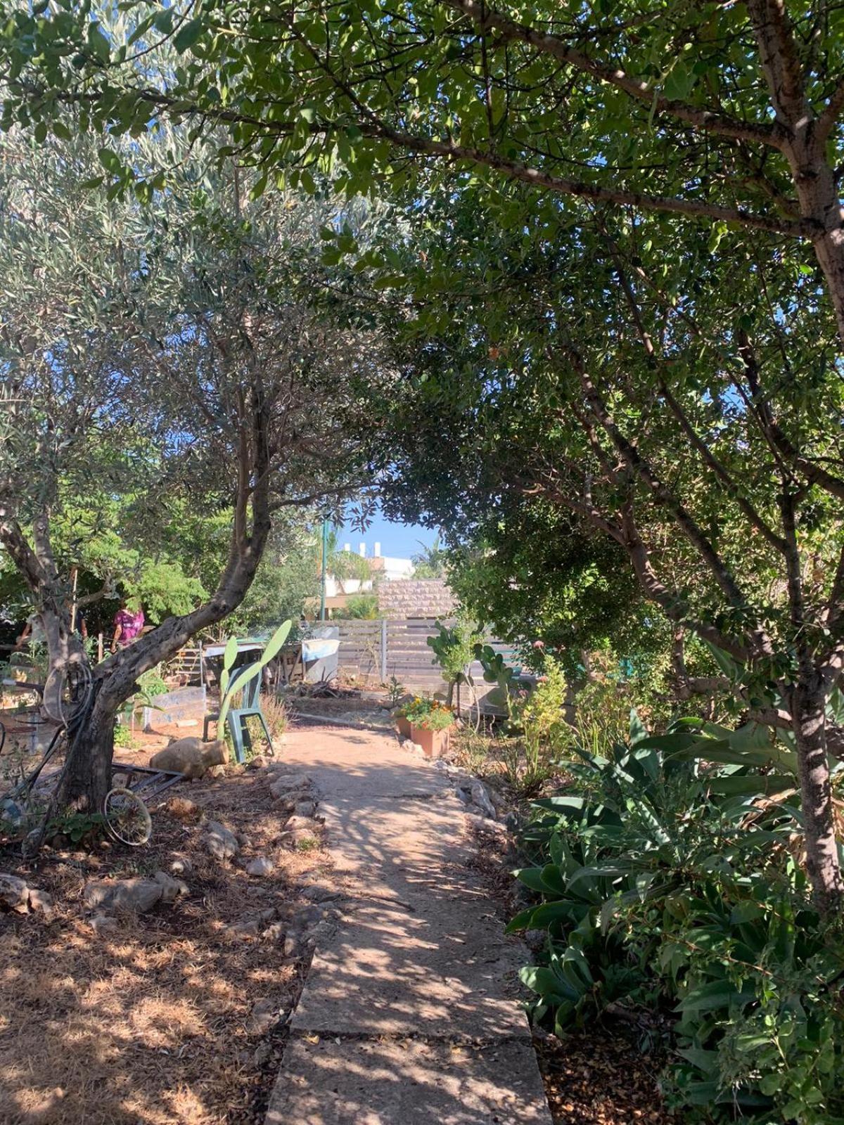 בקתת עץ בחורש במנות - דום גיאודזי - Wooden Cabin In Manot Eksteriør bilde